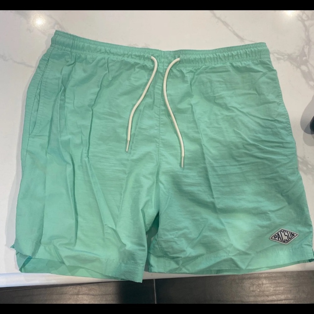 Pacsun mens Swim shorts 17" Mint